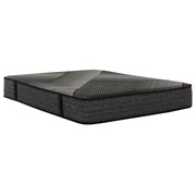 Sterling 13 in. Mattress