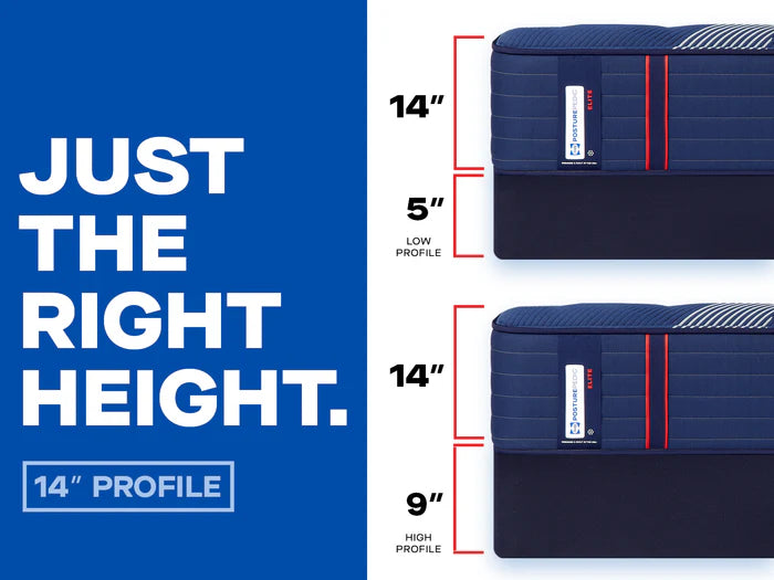 Sealy Posturepedic Elite Spring Brenham2 Medium Mattress